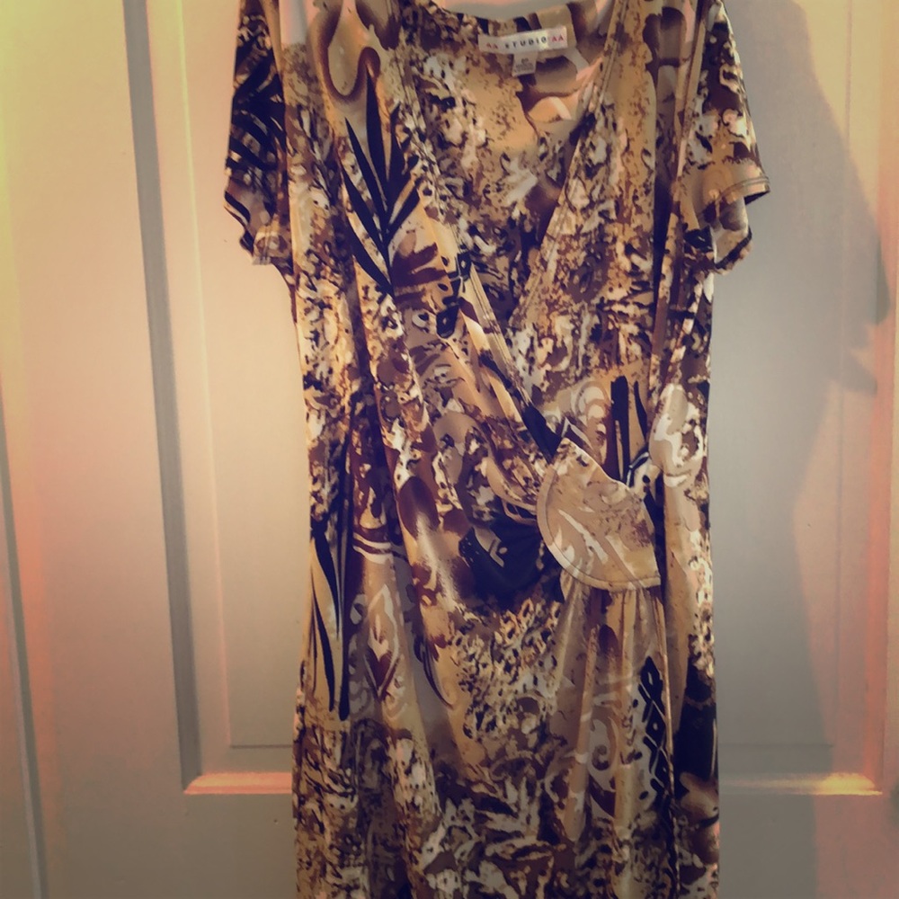 AA Studio Stretchy Dress